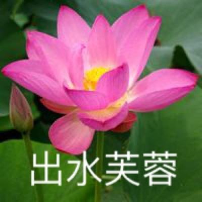 笑傲群侠传变态版下载